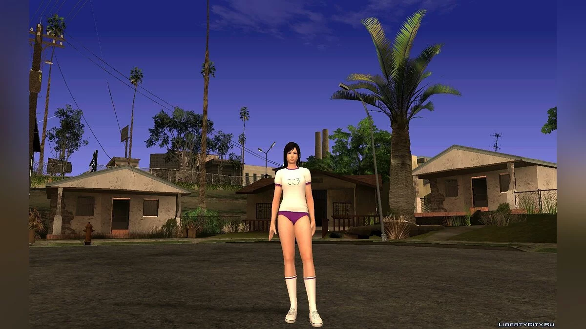 Kokoro Gym Pack / GTA San Andreas