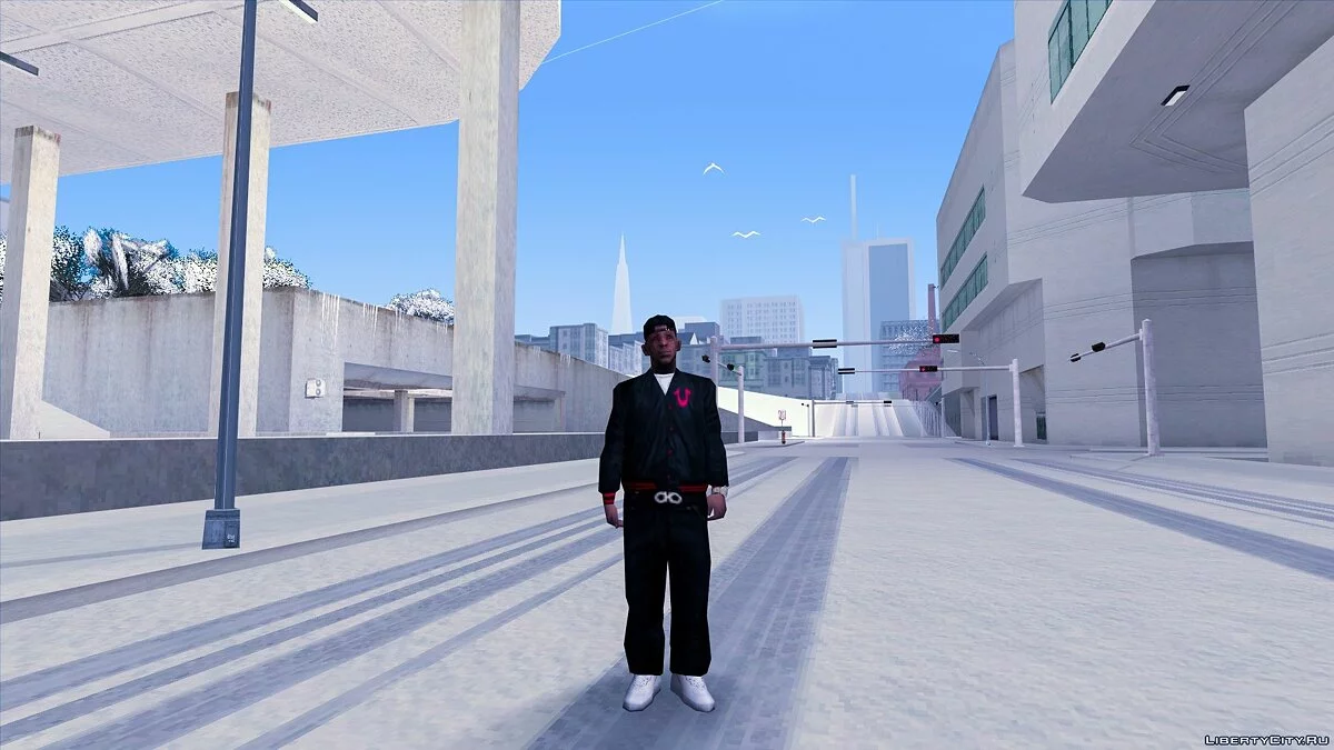 Большой Зимний Скинпак (190 штук) / GTA San Andreas