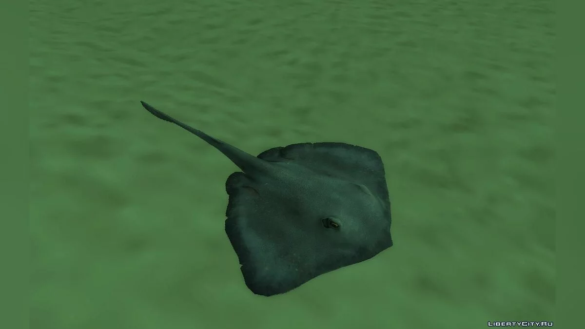 Морские животные / GTA San Andreas