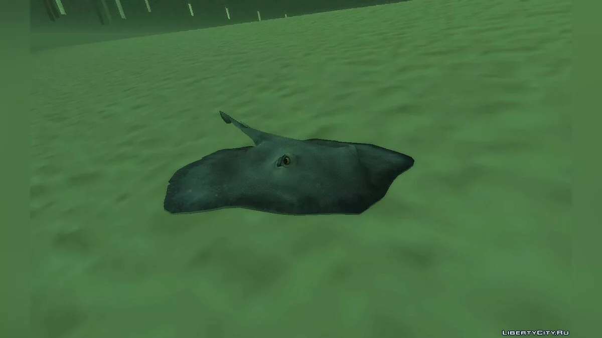 Морские животные / GTA San Andreas