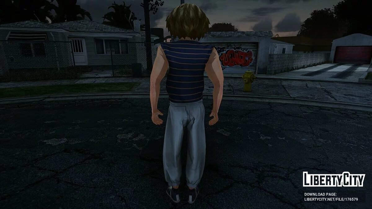 Сборник скинов (VCS) #27 / GTA San Andreas