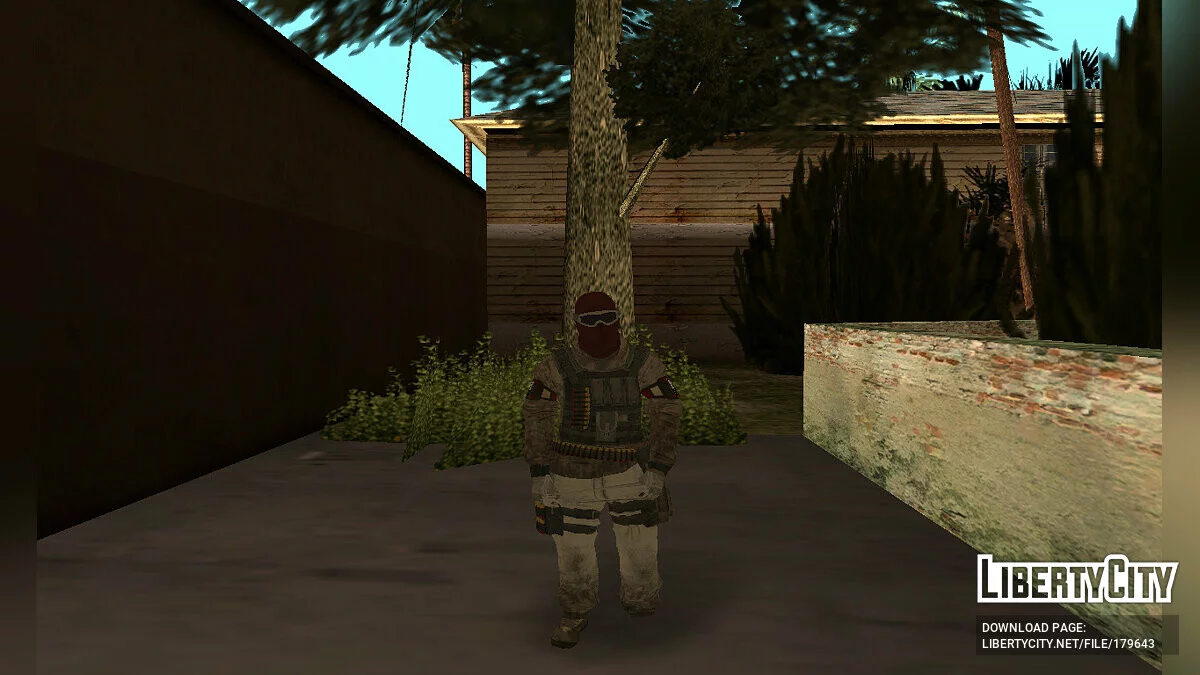 Пак персонажей из Tom Clancy's The Division / GTA San Andreas