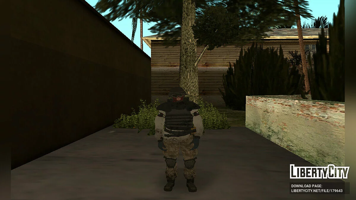 Пак персонажей из Tom Clancy's The Division / GTA San Andreas