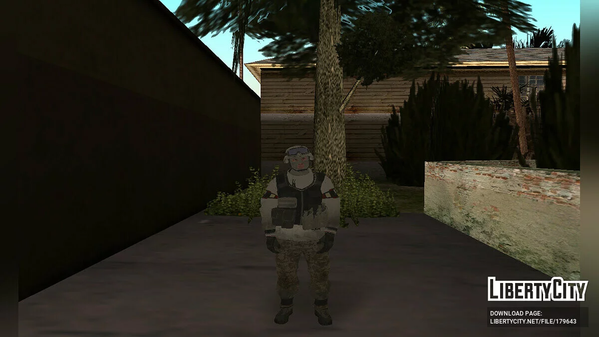 Пак персонажей из Tom Clancy's The Division / GTA San Andreas