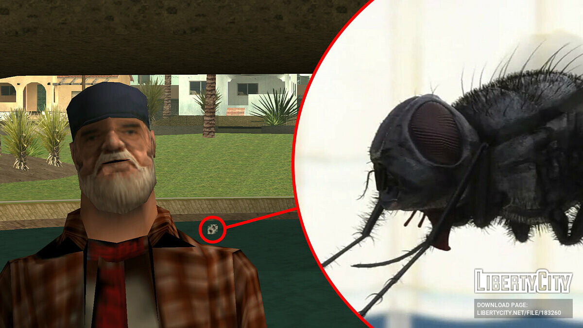 Homeless' Insects для GTA San Andreas - Картинка #1
