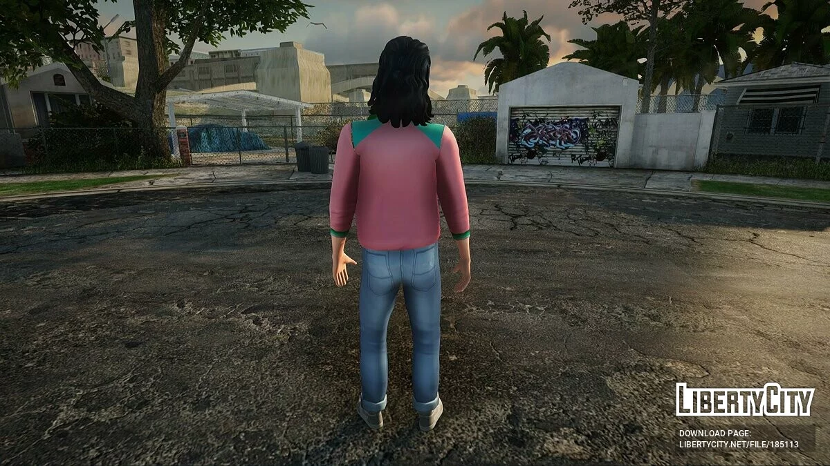 Сборник скинов (VCS) #31 / GTA San Andreas