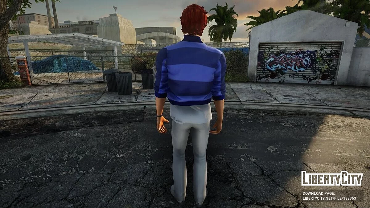 Сборник скинов (VCS) #36 / GTA San Andreas