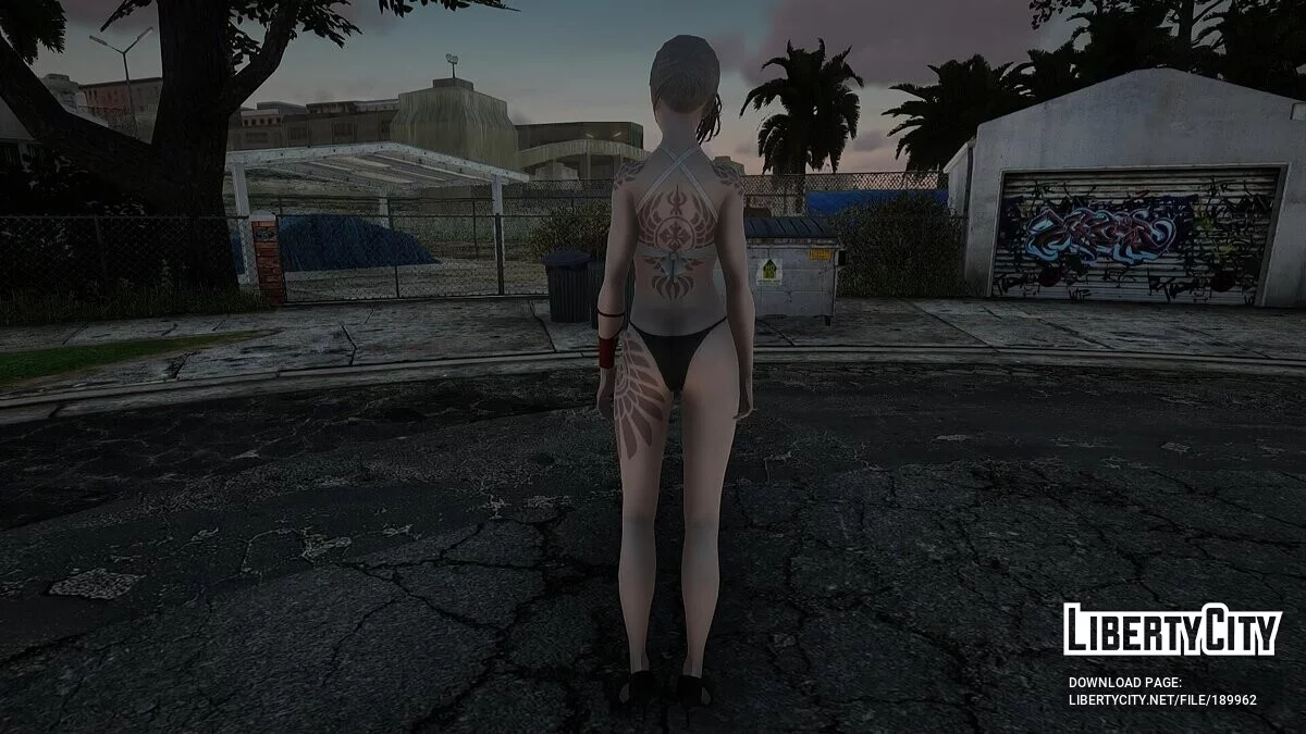 Akeha из NieR Reincarnation / GTA San Andreas