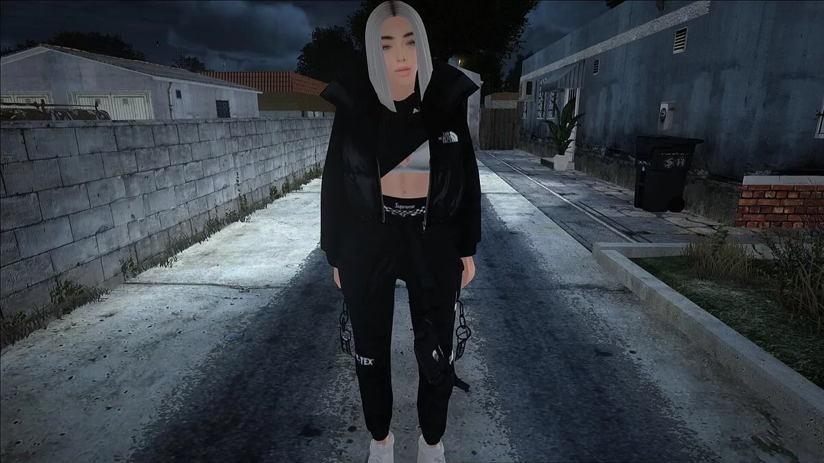 Большой сборник женских скинов / GTA San Andreas