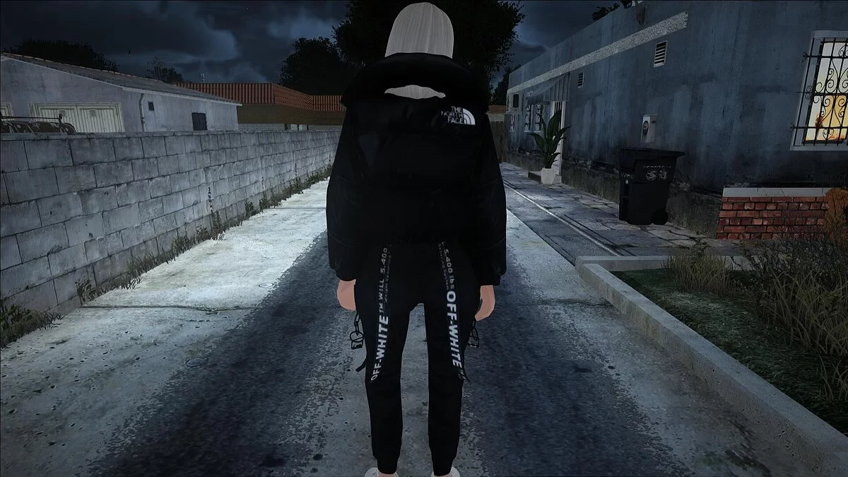 Большой сборник женских скинов / GTA San Andreas