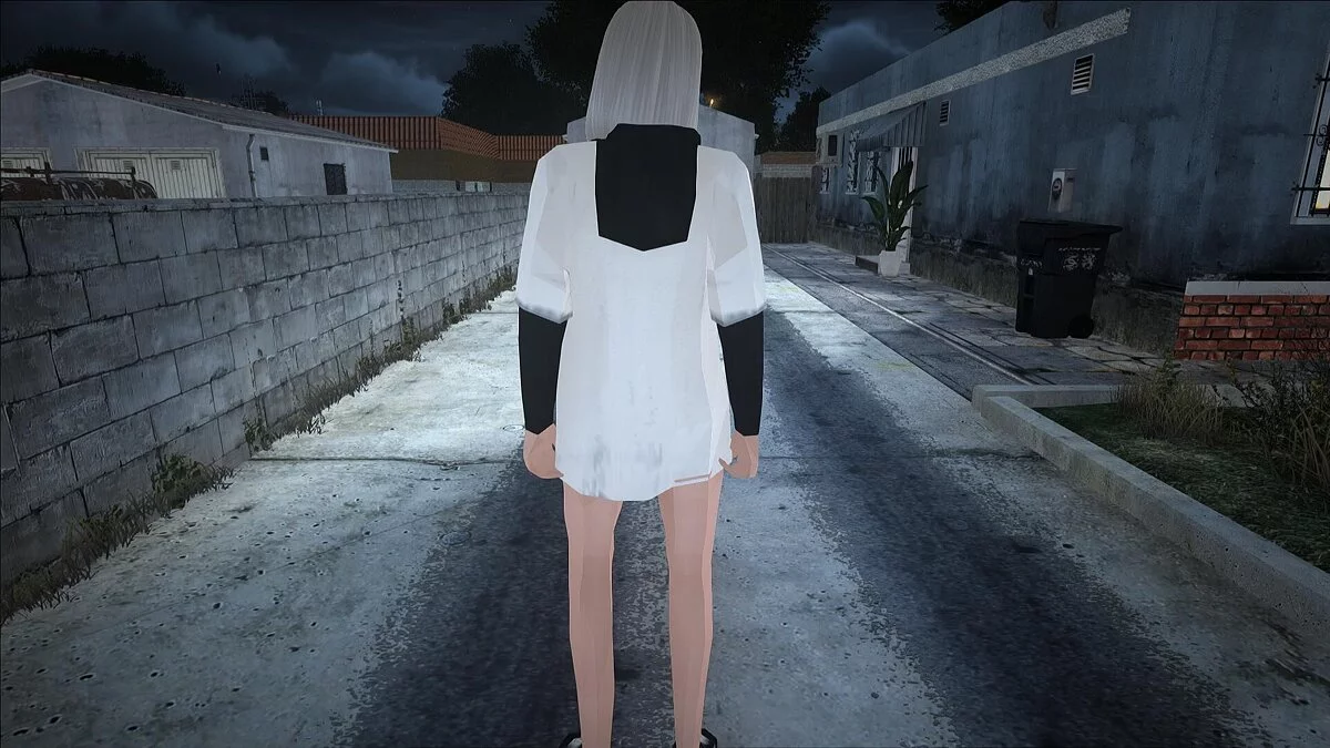Большой сборник женских скинов / GTA San Andreas