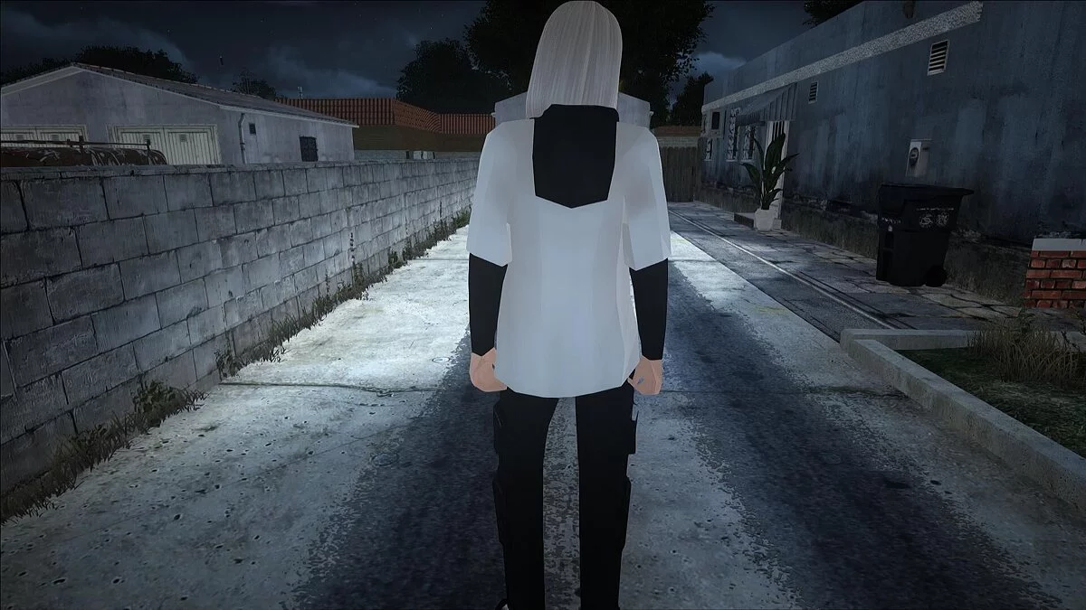 Большой сборник женских скинов / GTA San Andreas