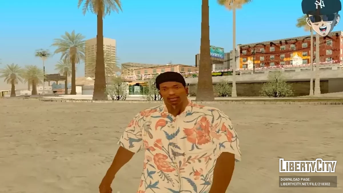 Сборник с 15 скинами Си-Джея / GTA San Andreas
