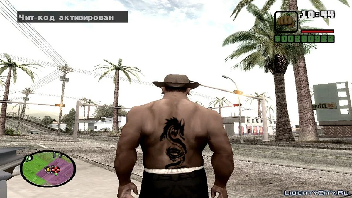 Татуировка Дракона / GTA San Andreas