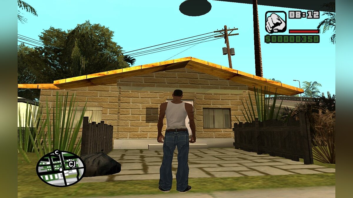 Замена coochieghous в GTA San Andreas (29 файлов) / Файлы отсортированы по  скачиваниям в порядке возрастания