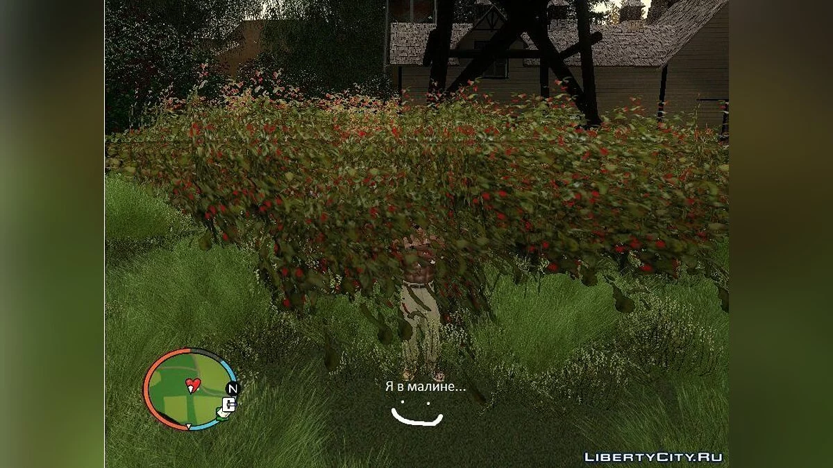 Ягодные кустарники / GTA San Andreas