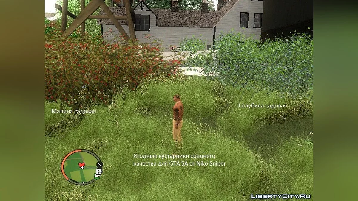 Ягодные кустарники / GTA San Andreas