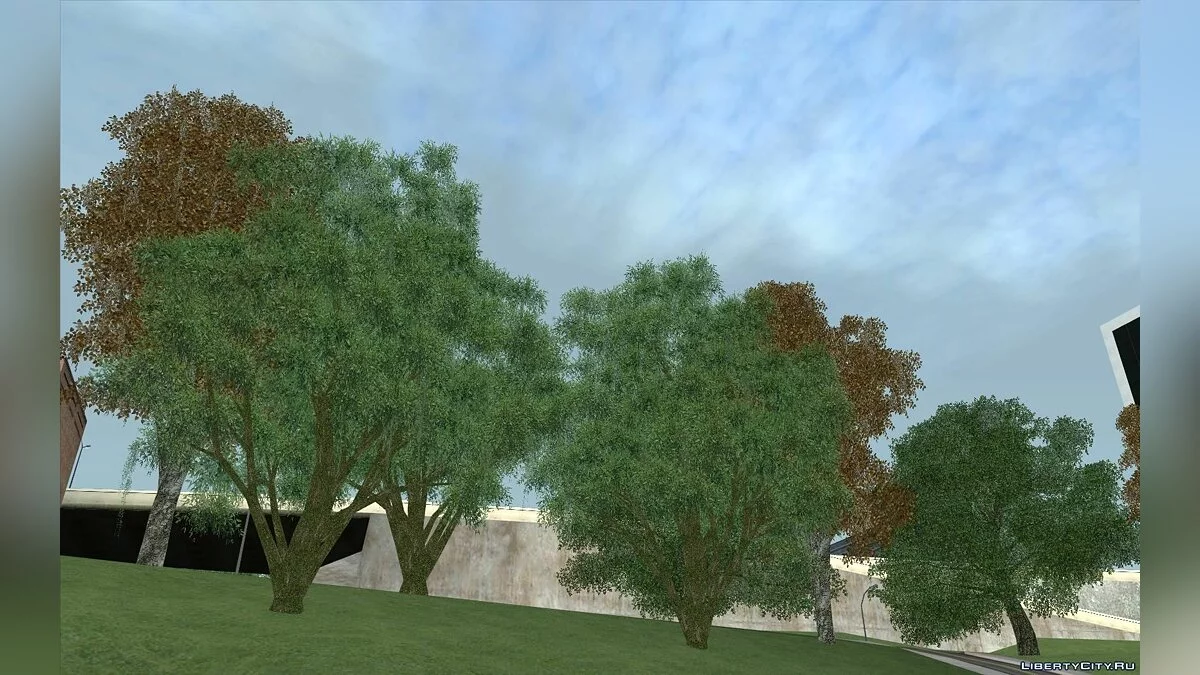 Behind Space Of Realities: Cursed Memories (Trees Part) / GTA San Andreas