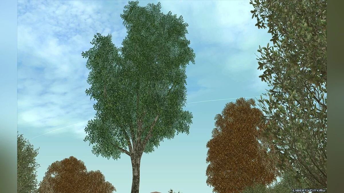 Behind Space Of Realities: Cursed Memories (Trees Part) / GTA San Andreas