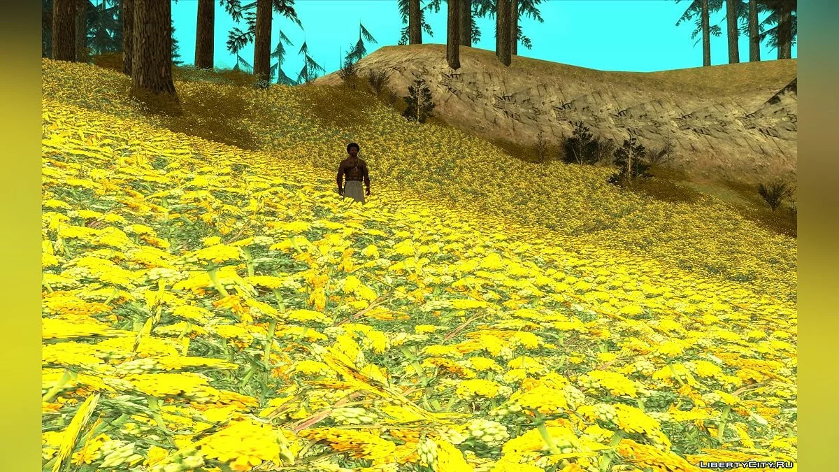 Dream Grass  (последняя версия) / GTA San Andreas