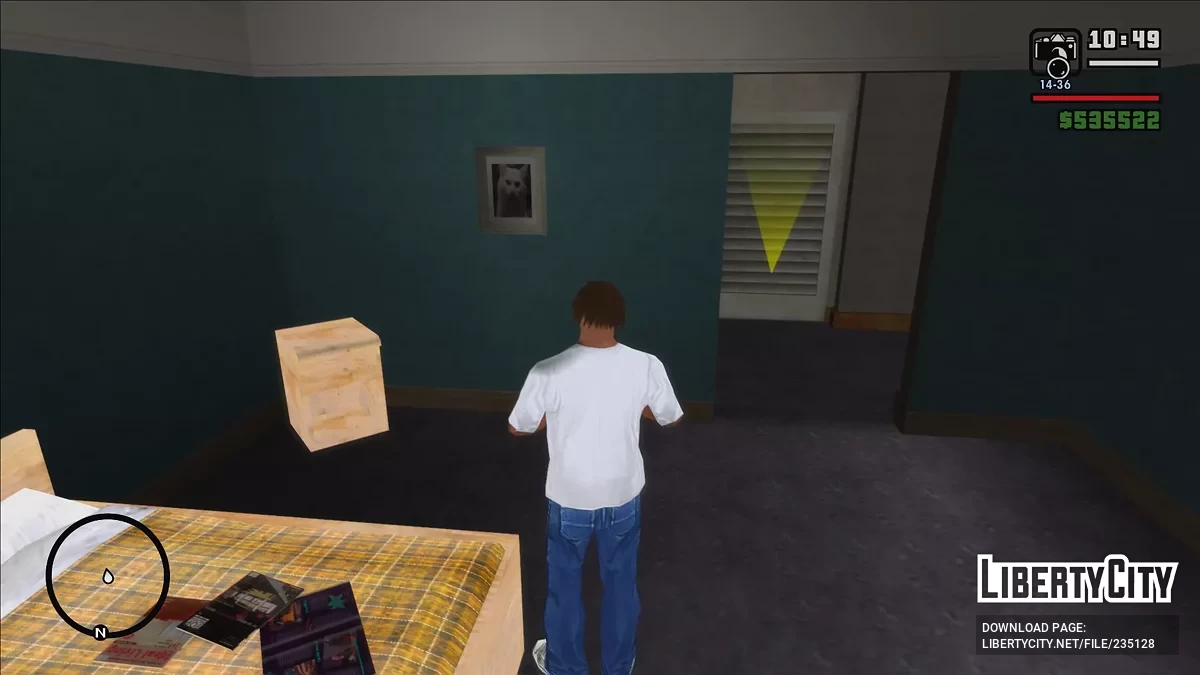 Новое фото кота в доме Карла / GTA San Andreas