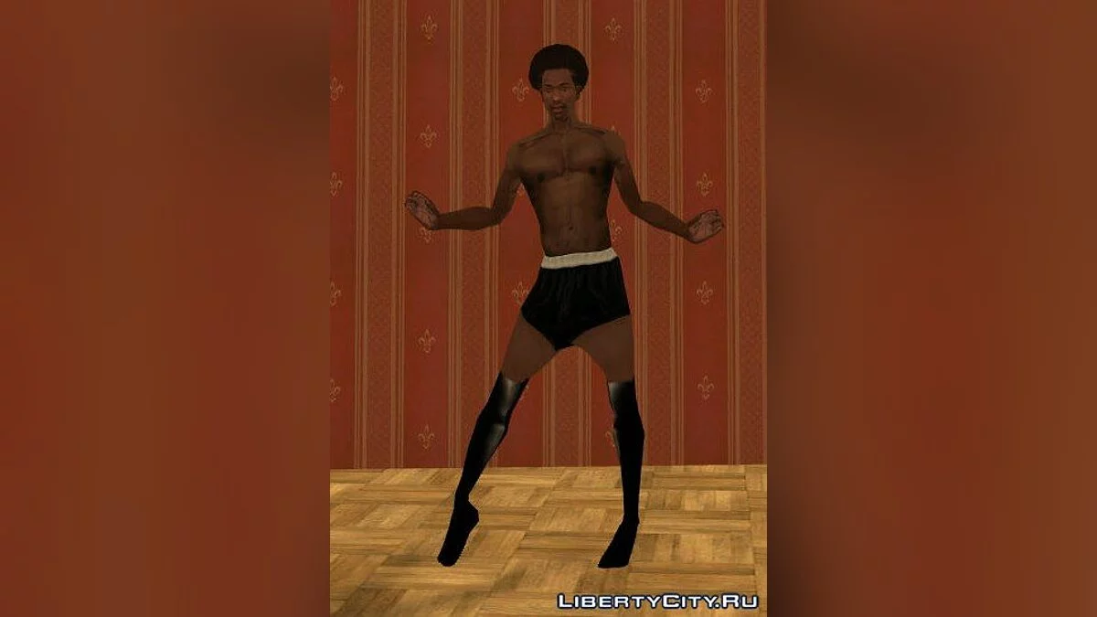 Колготки и чулки / GTA San Andreas