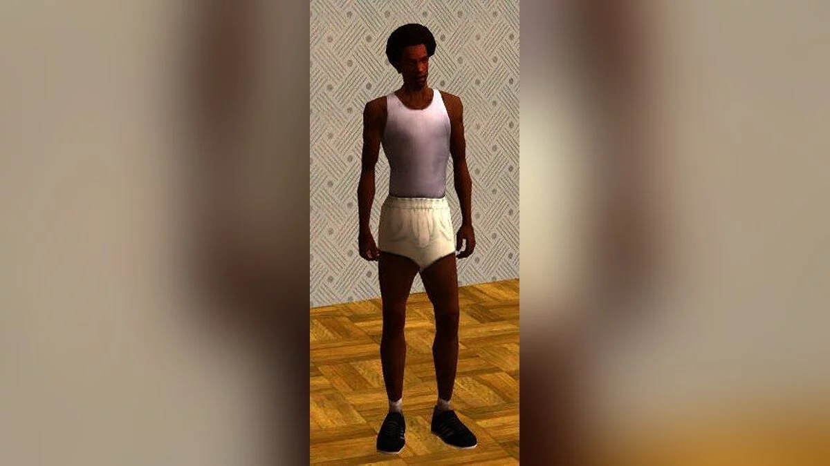 Пак трусов / GTA San Andreas