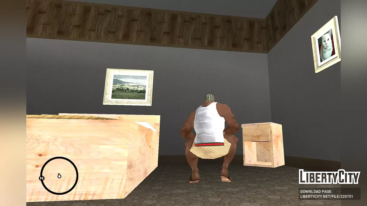Трусы от GUCCI / GTA San Andreas