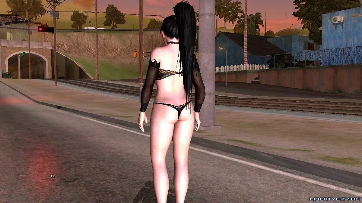 Момиджи Премьер / GTA San Andreas (iOS, Android)