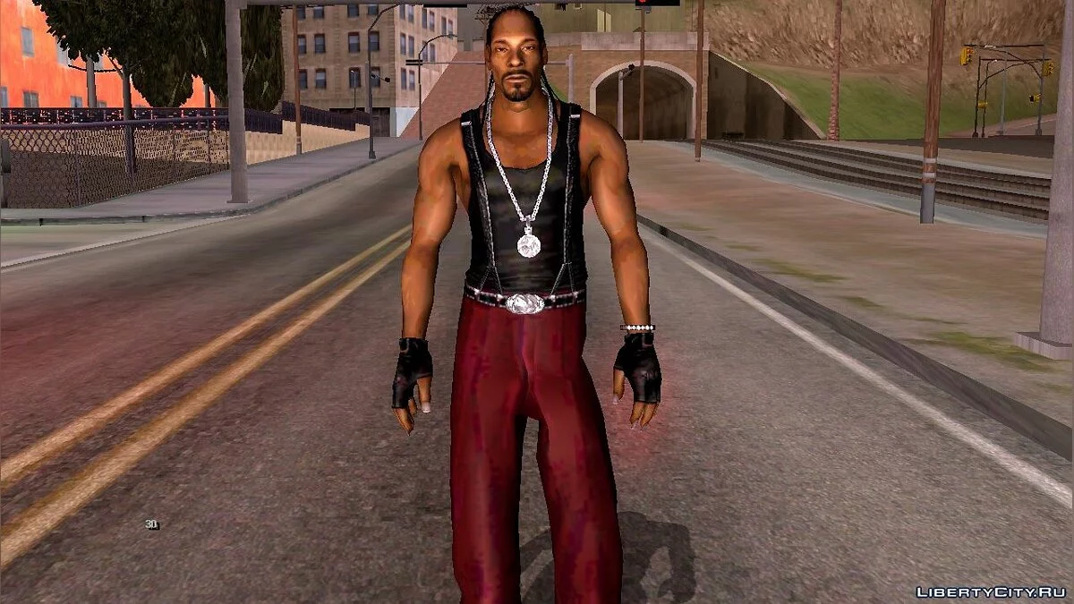 Snoop Dogg из игры Def Jam Fight For New York / GTA San Andreas (iOS, Android)