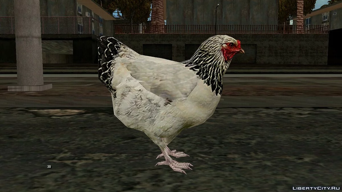 Курица / GTA San Andreas (iOS, Android)