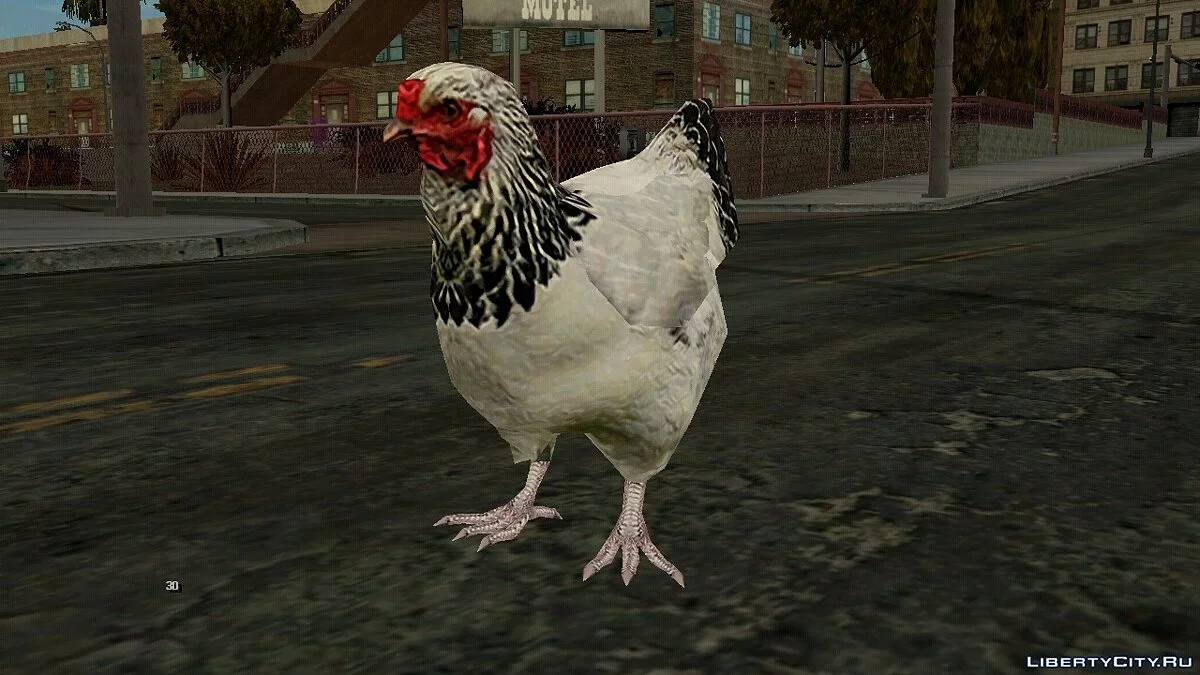 Курица / GTA San Andreas (iOS, Android)