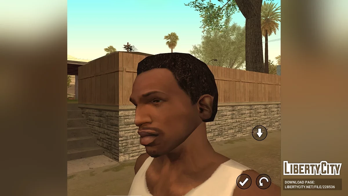 CJ из RoSa Project Evolved / GTA San Andreas (iOS, Android)