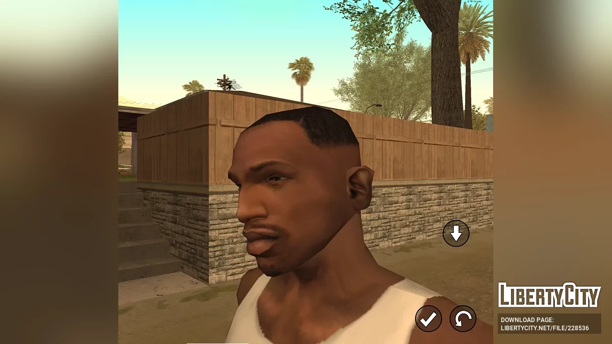 CJ из RoSa Project Evolved / GTA San Andreas (iOS, Android)