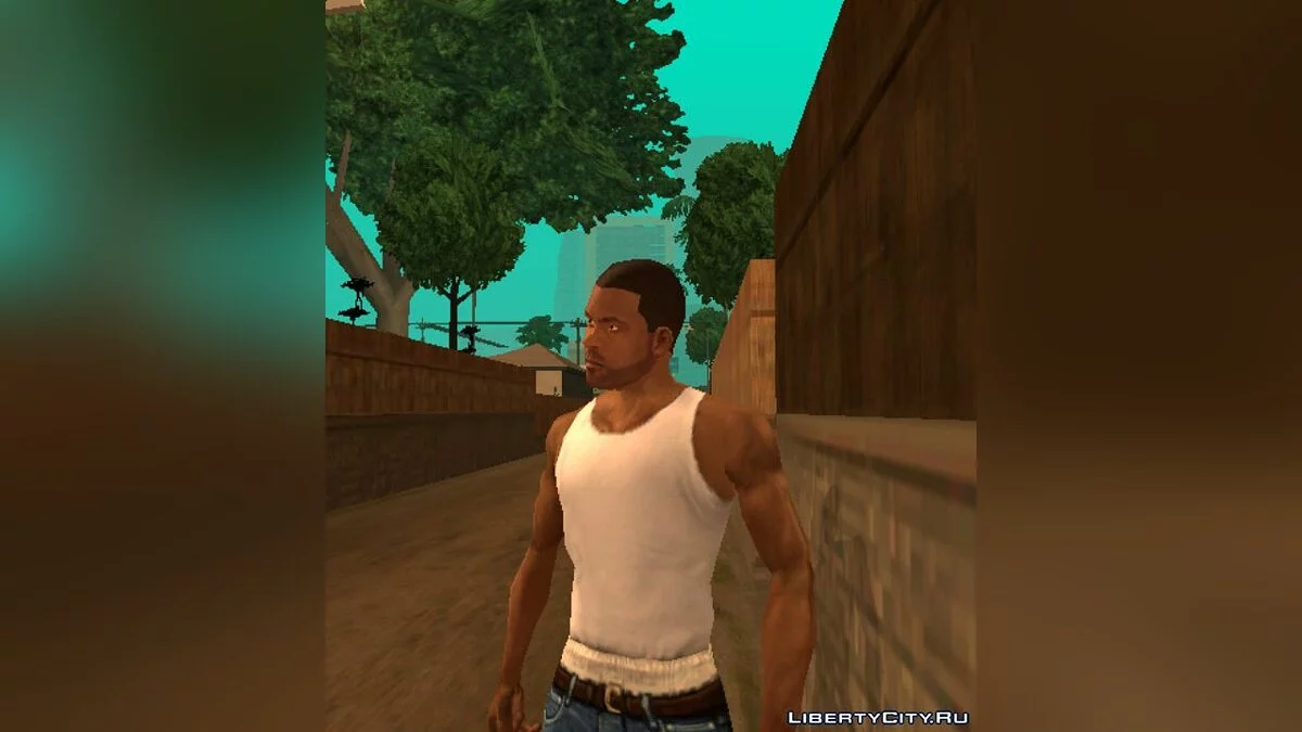 Лицо Франклина / GTA San Andreas (iOS, Android)