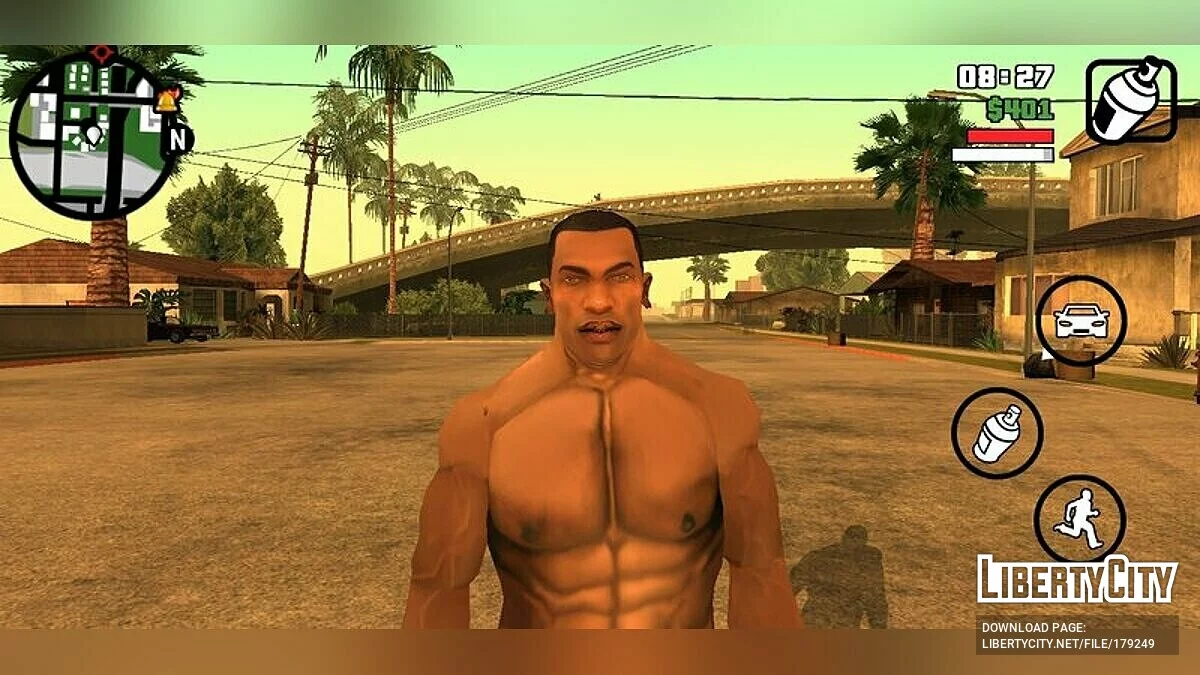 Модельное лицо Карла / GTA San Andreas (iOS, Android)