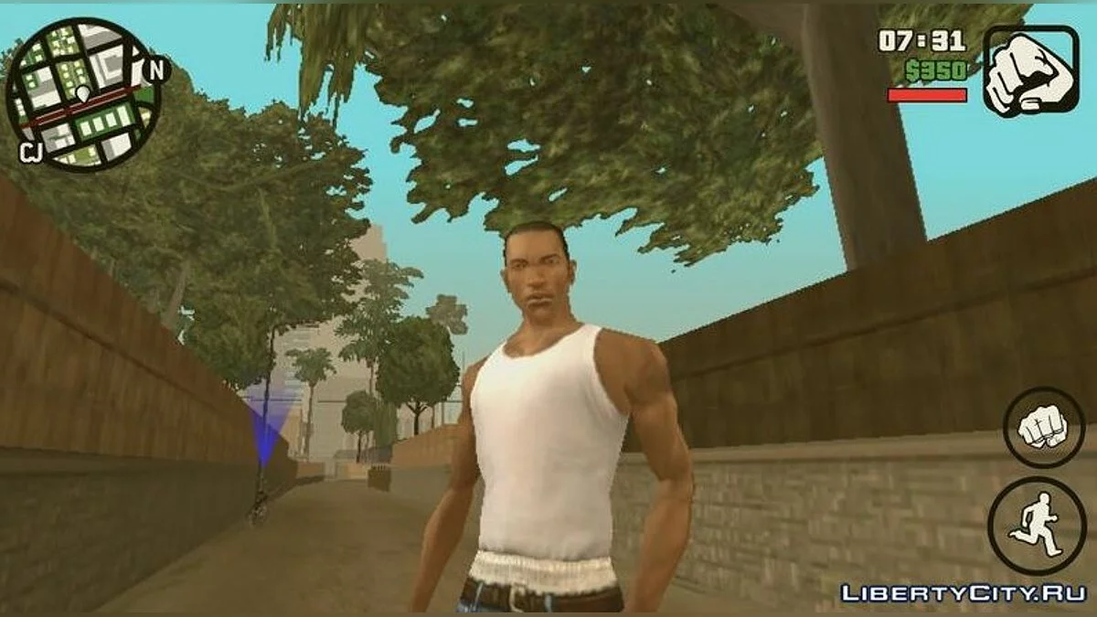 Реалистичное лицо Карла / GTA San Andreas (iOS, Android)