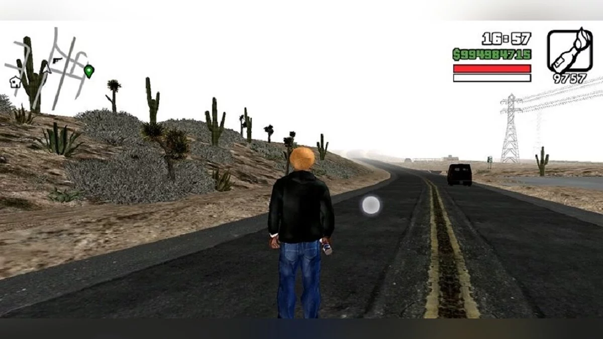 Растения в пустыне  / GTA San Andreas (iOS, Android)