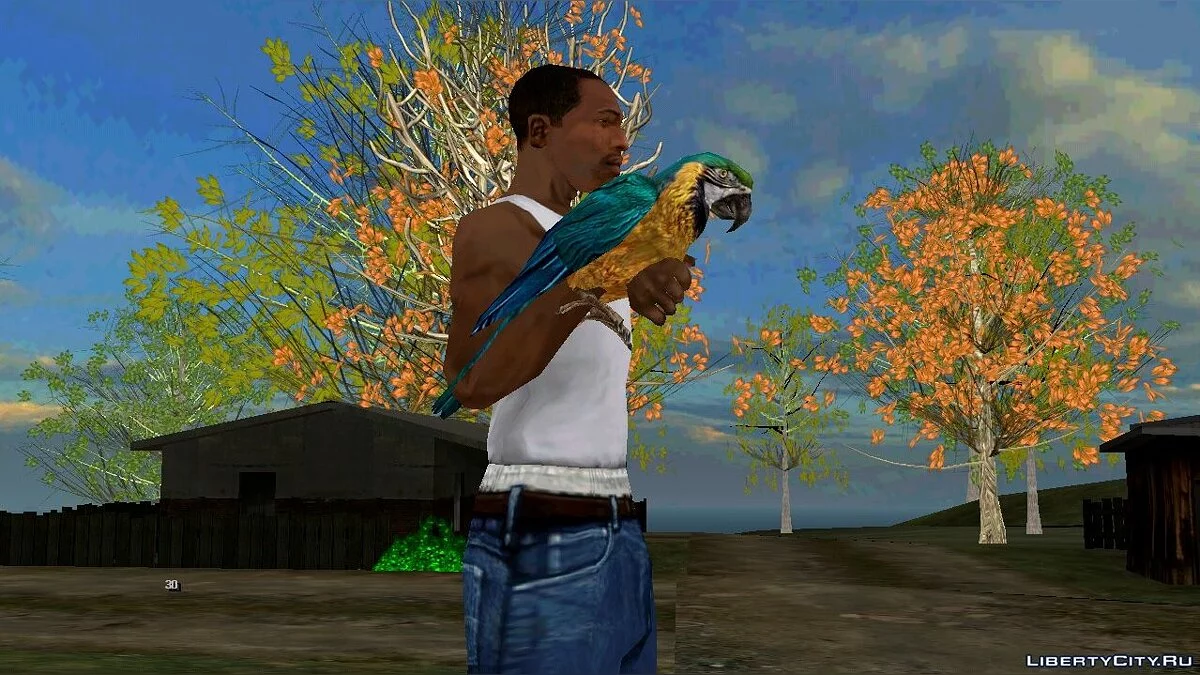 Попугай на руке / GTA San Andreas (iOS, Android)