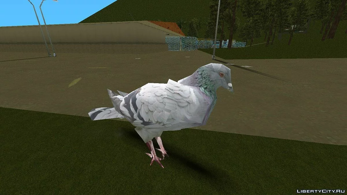 Голубь из Grand Theft Auto IV / GTA Vice City