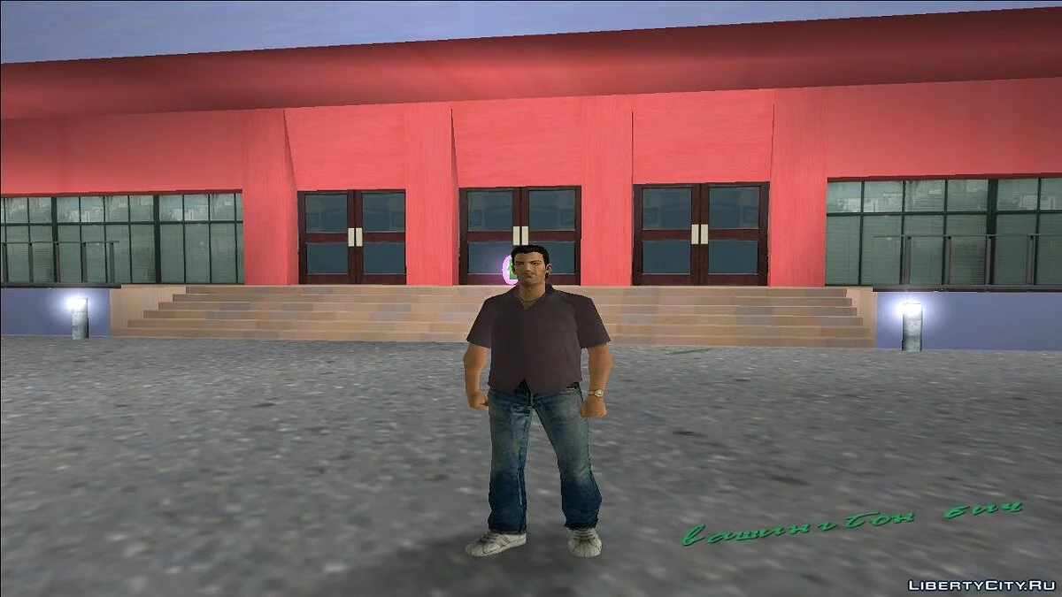 Portable Skins Pack 1 / GTA Vice City
