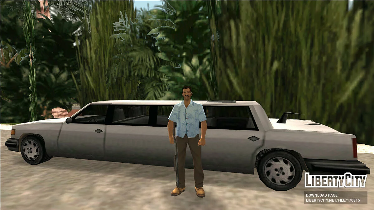 Gang Pack Skins / GTA Vice City