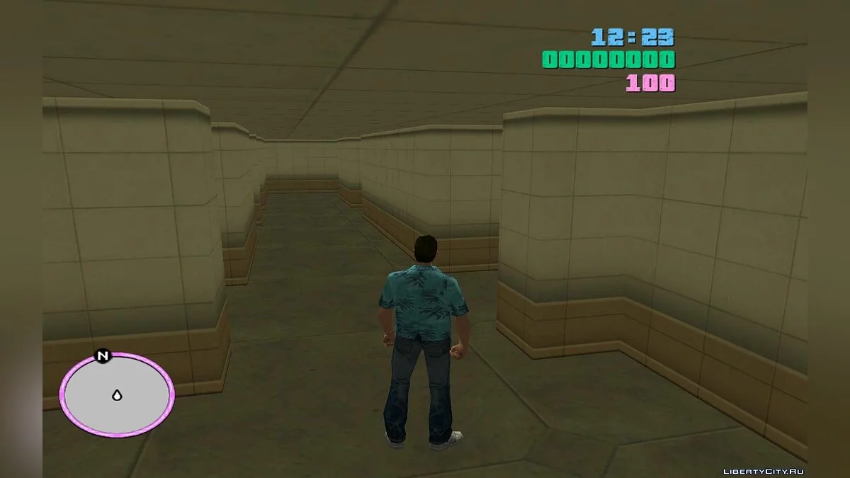 Уникальный лабиринт / GTA Vice City