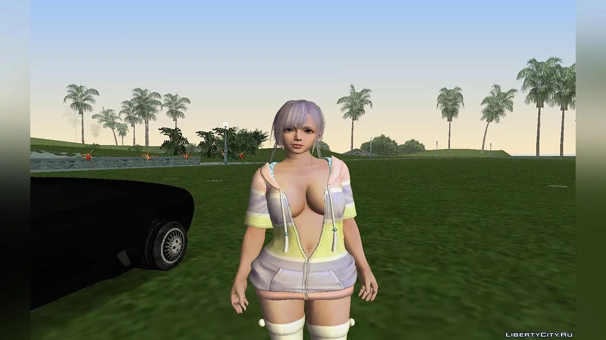 Сборник скинов из DOAXVV / GTA Vice City