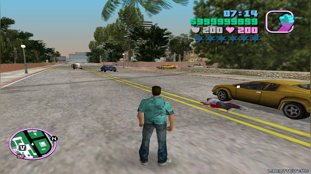 Infection / GTA Vice City
