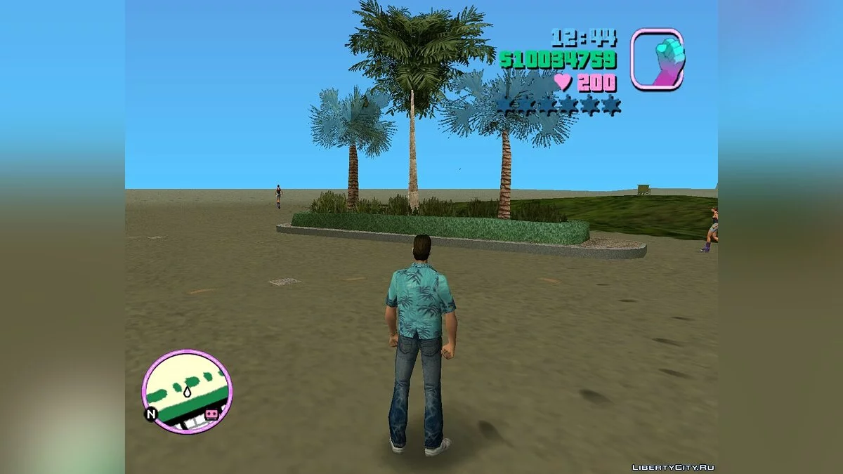 Ingame Mapper / GTA Vice City