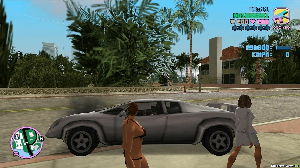 VC CAR INFO BY GMM96 - Speedometer and Damage meter / GTA Vice City