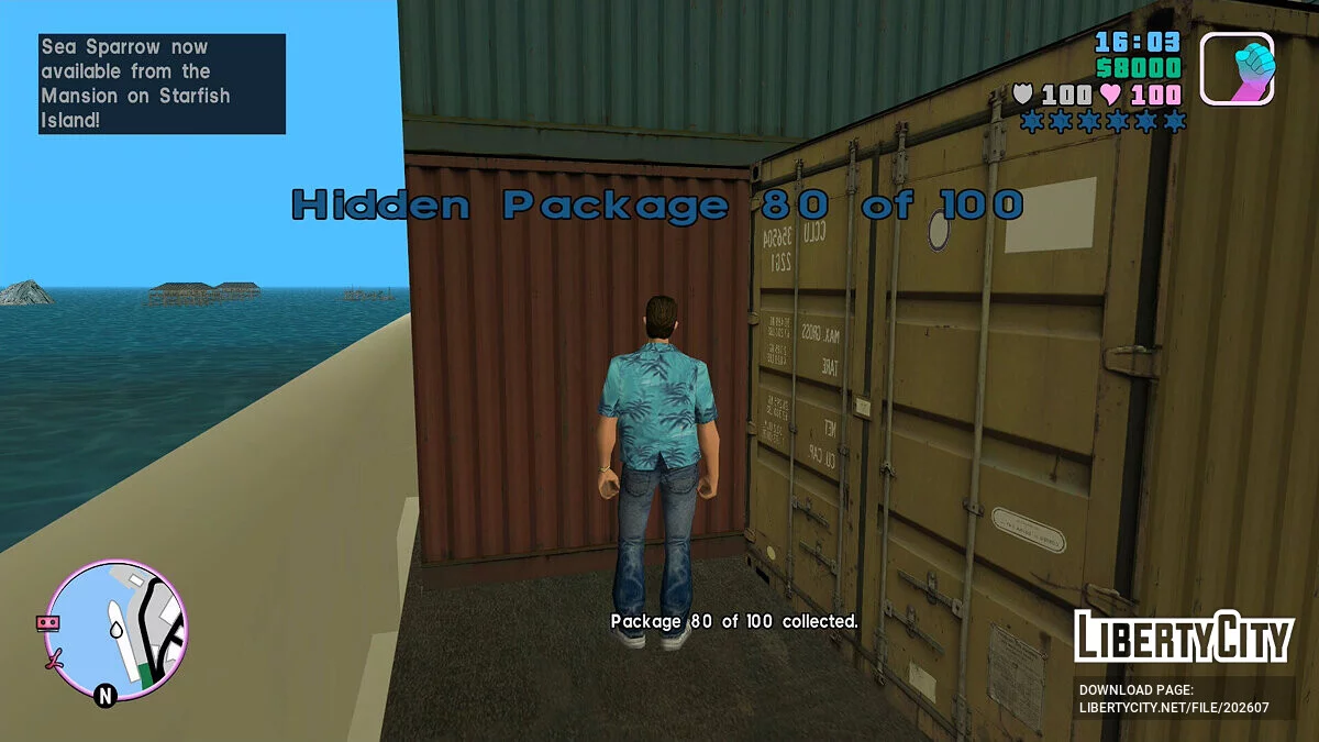 Телепорт к спрятанным пакетам / GTA Vice City