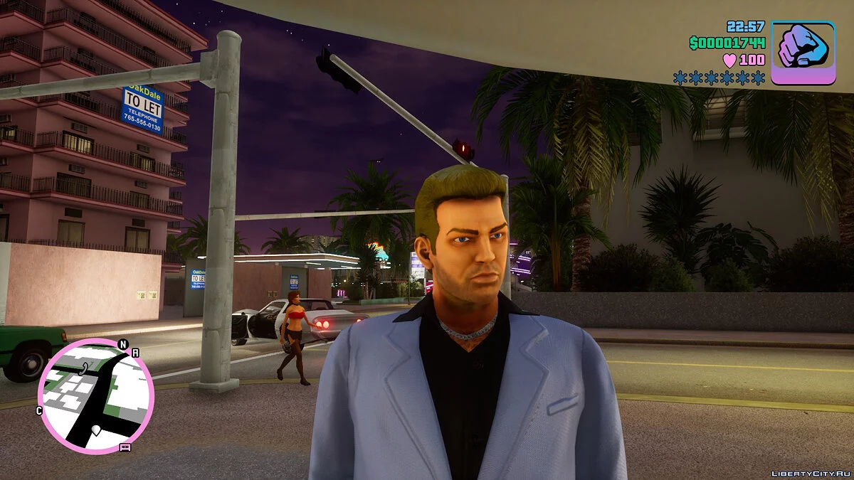 Стандартный скин Wild / GTA Vice City: The Definitive Edition