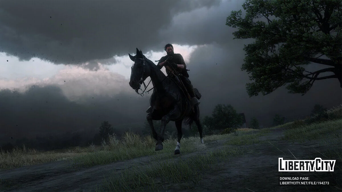 Cinematic Grading [1.0.1] / Red Dead Redemption 2